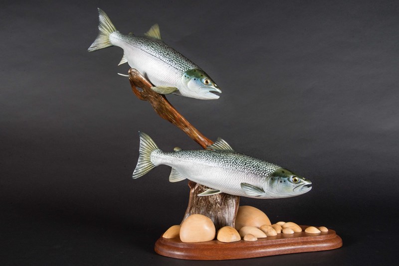Salmon miniature