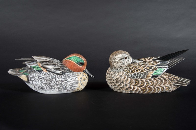 Pair of Green Winged Teal