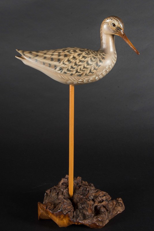 Lesser Yellowleg