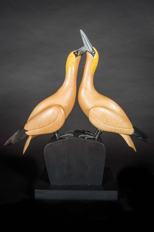 Pair of Gannets