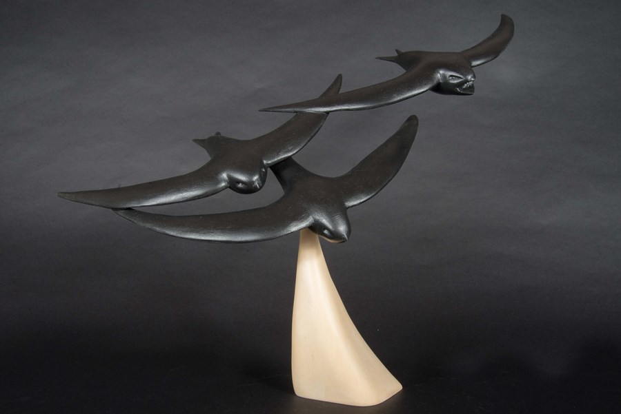 Swift flight