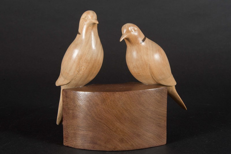 Collared Doves reduced size