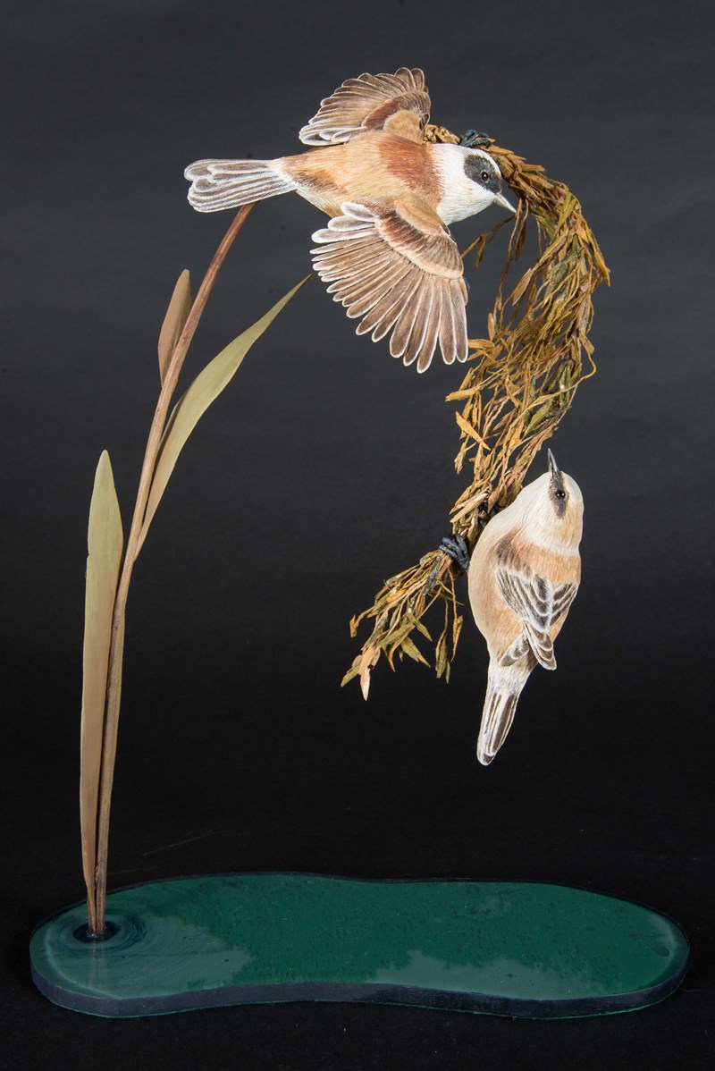 Pair of Penduline Tits