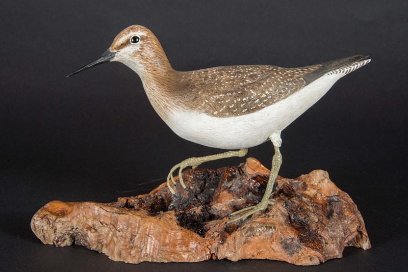 Wood Sandpiper