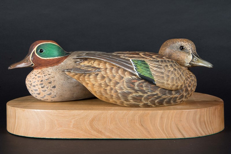 Pair of Greenwing Teal