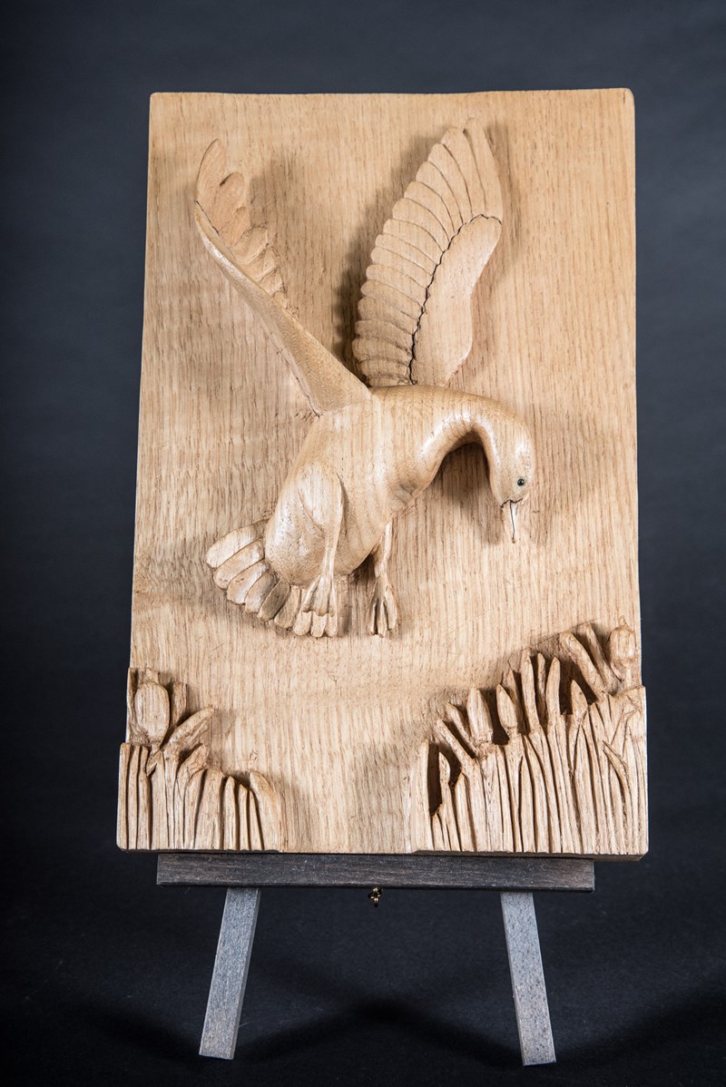 Duck approaching roost by Graham Cawley