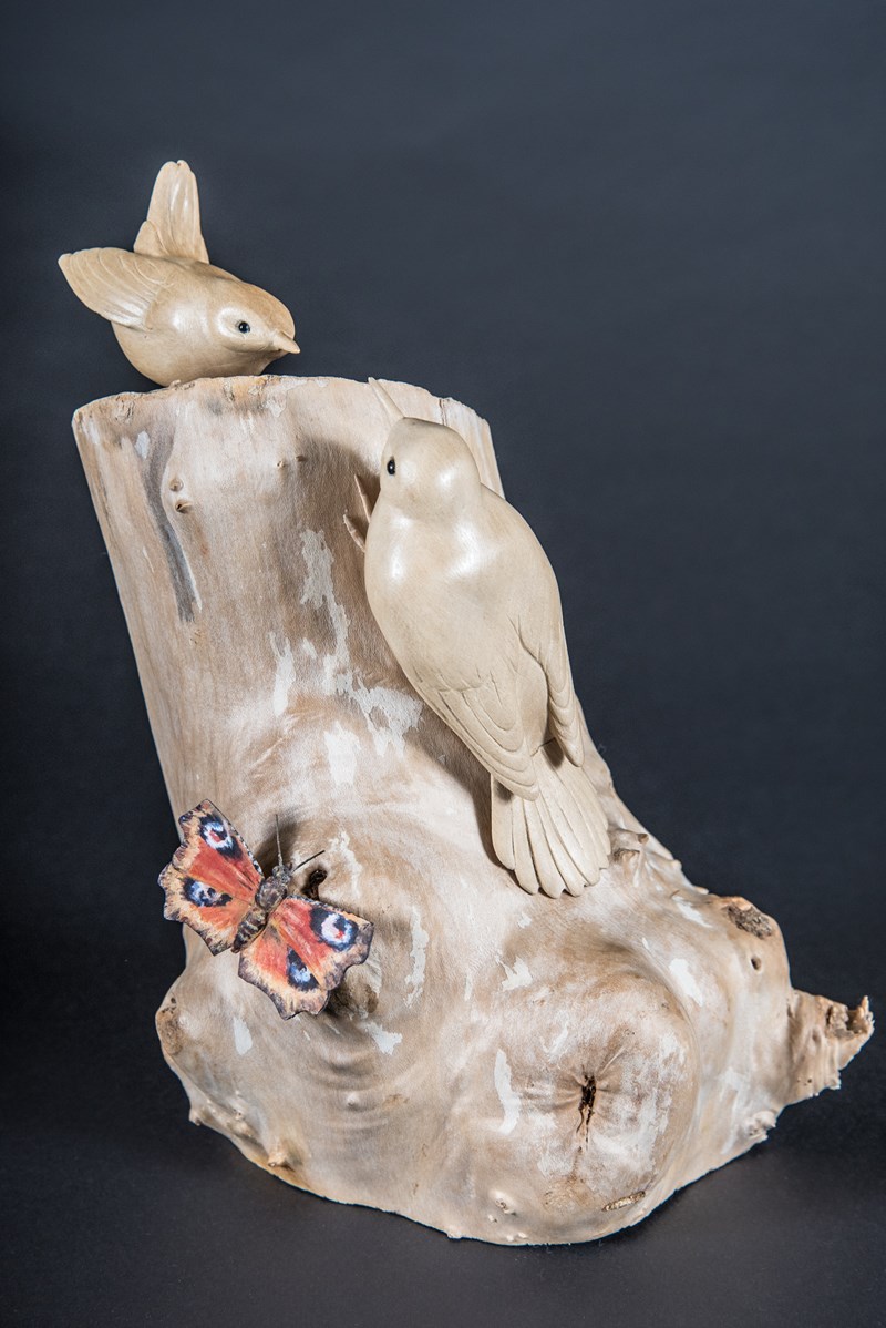 Wren and Treecreeper on log by Ray Ball