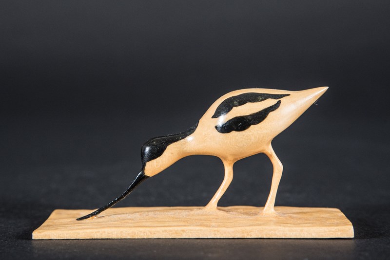 Avocet by Jim Flinn