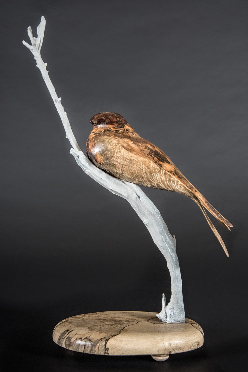 Nightjar in Seasoned Chestnut by Owen Wignall