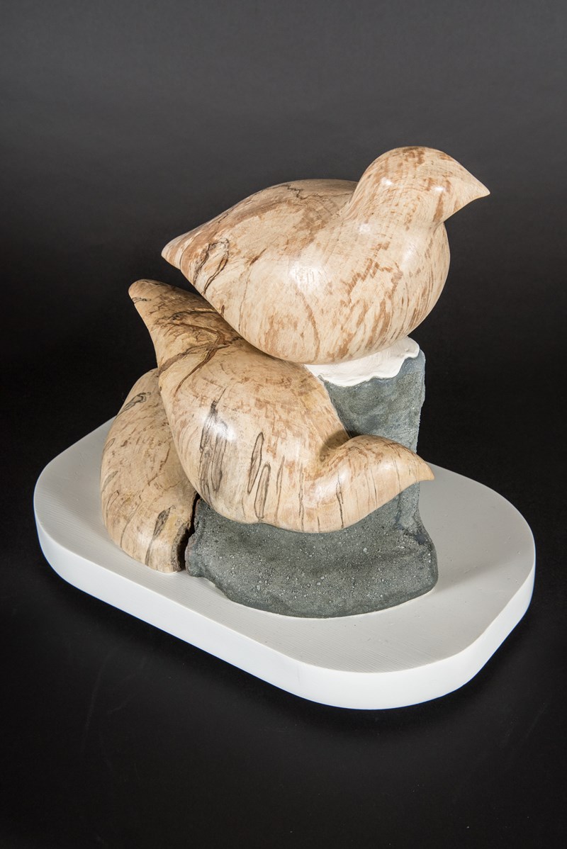 Ptarmigan in Spalted Beech by Owen Wignall