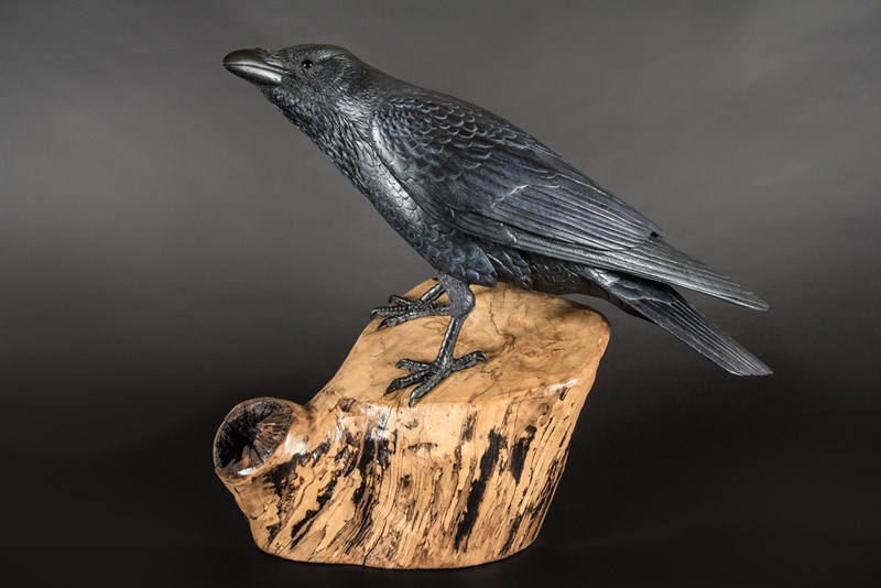 Raven on spalted beech by Jack Crewdson