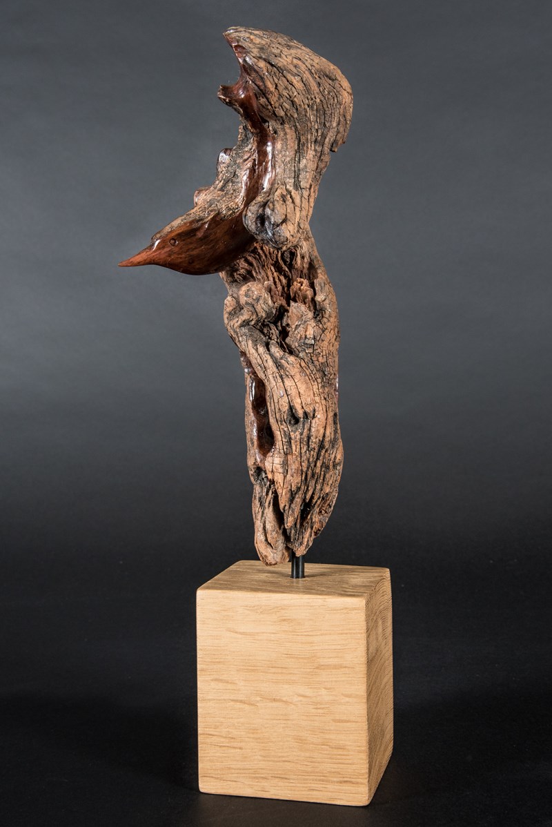 Nuthatch the spirit of by Christine Rose