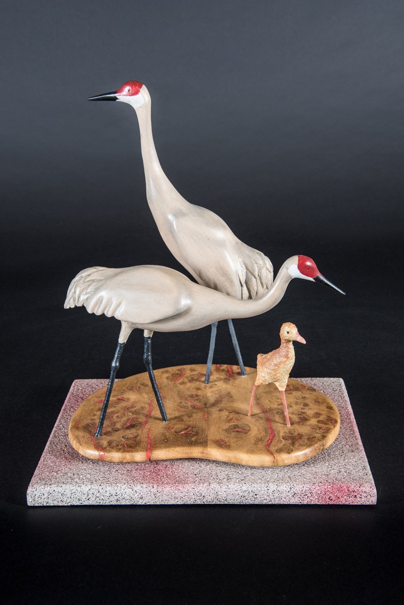 Pair of Mississippi Sandhill Cranes by Stewart Langworth