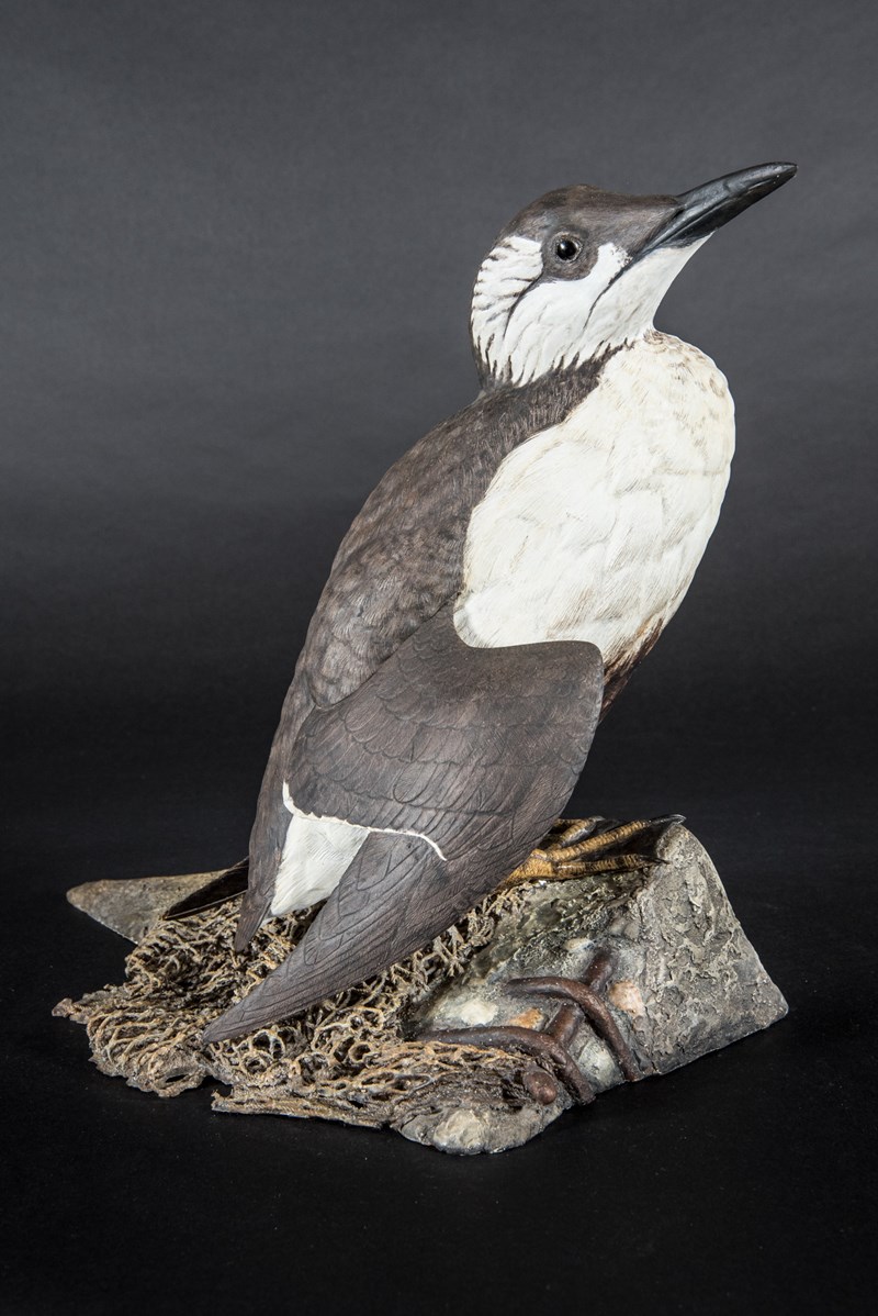 Guillemot oil victim by Ton Visser