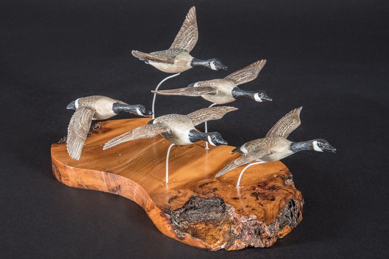 Canada Geese in Flight by John W White