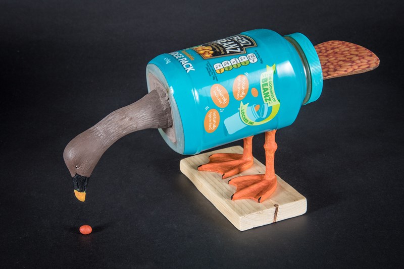 Anser Fabalis other brands available by Stewart Langworth