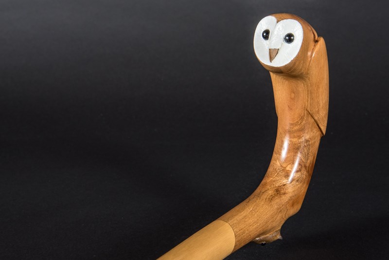 Barn owl by Jim Harris