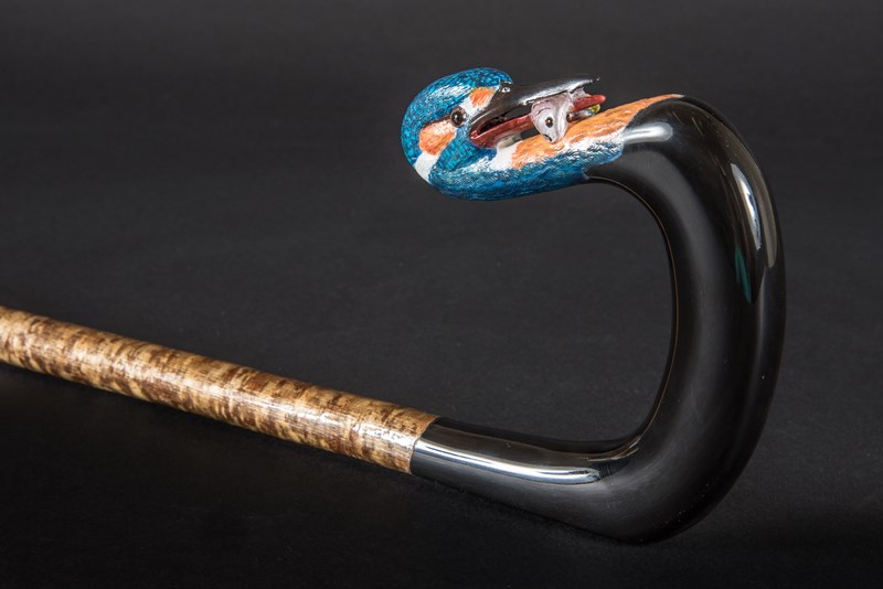 Kingfisher by Paul Daunt