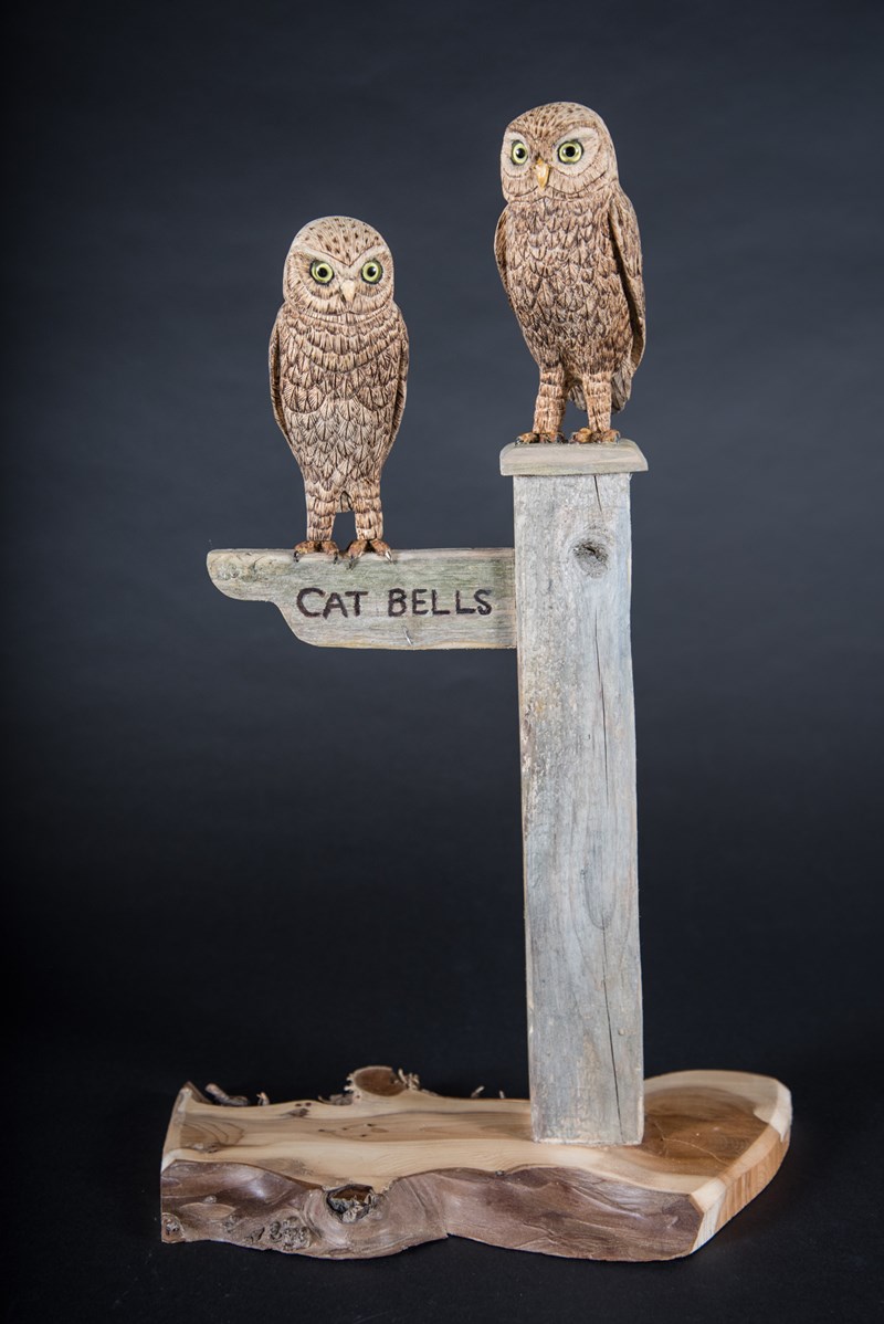 Little Owls 70% life size. Watching the World Go By