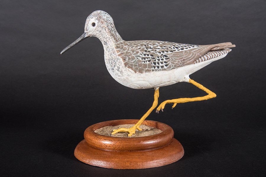 Greater Yellow Legs