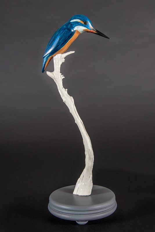 Kingfisher