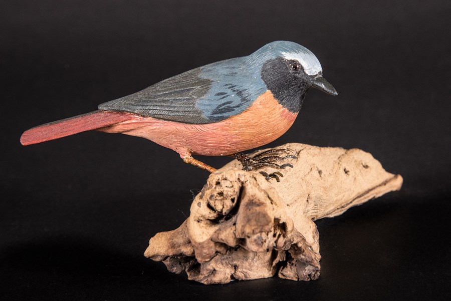 Redstart