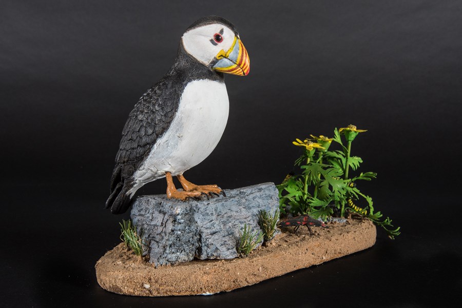 Puffin on rock