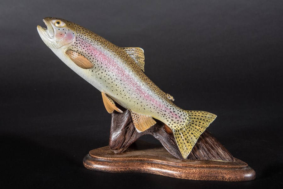 Rainbow Trout