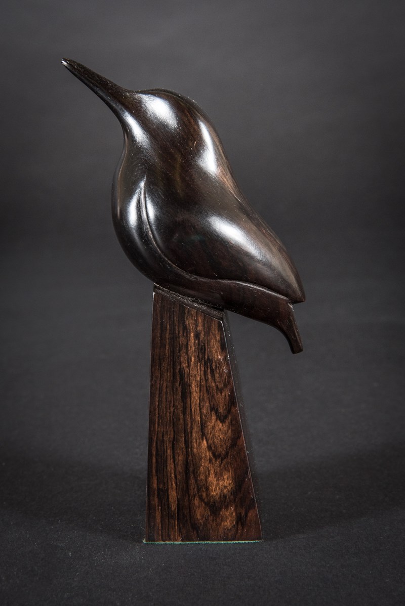 Kingfisher in Blackwood