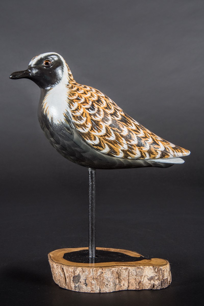 Golden Plover
