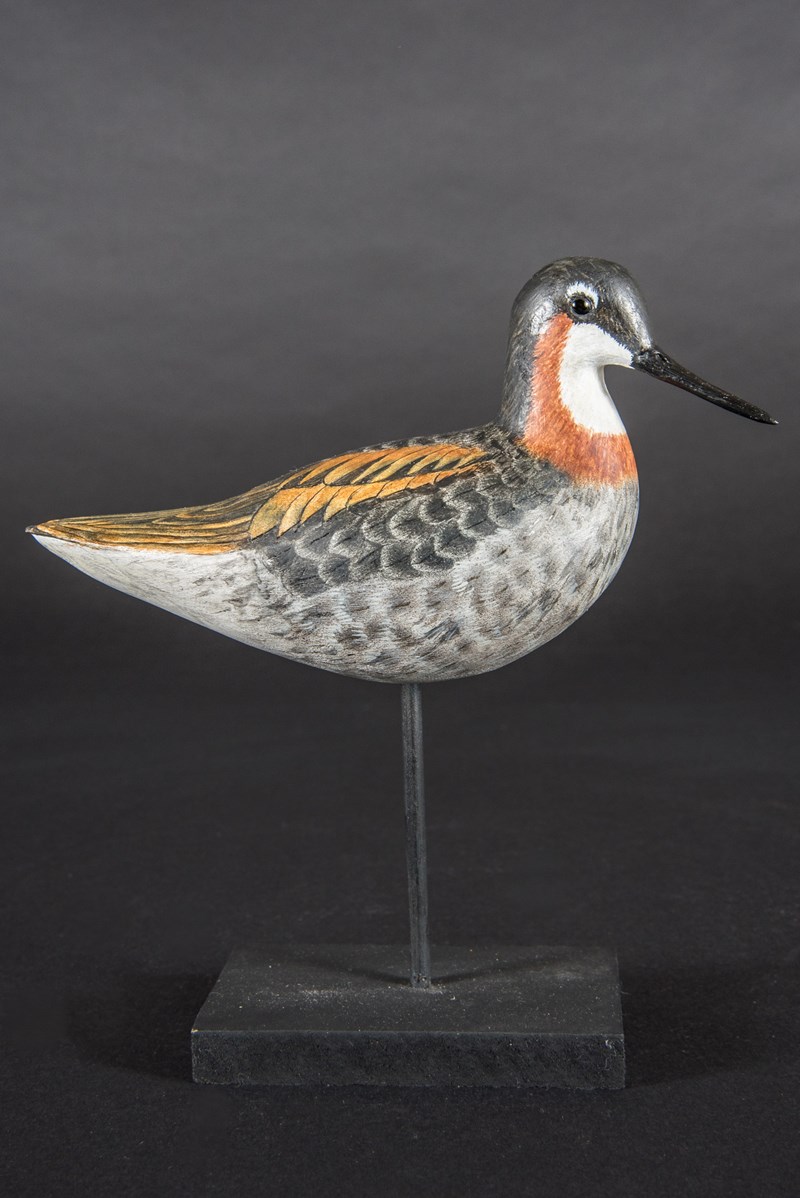 Red Necked Phalarope