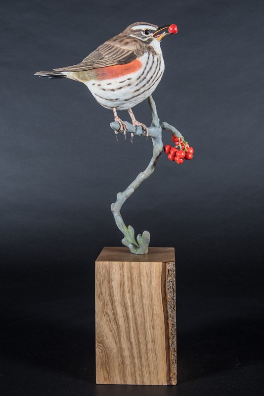 Redwing