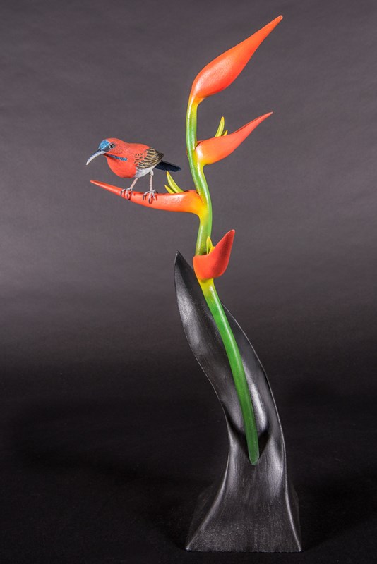 Crimson Sunbird