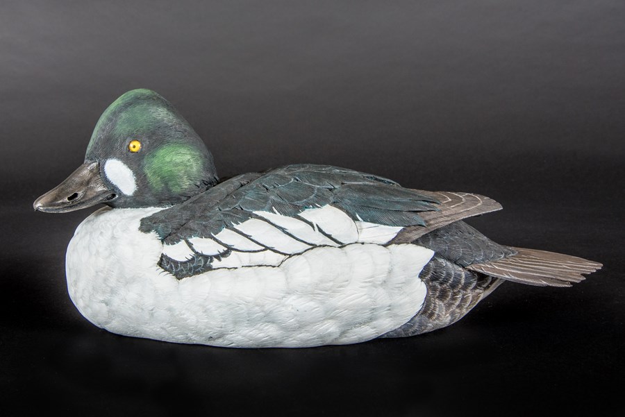 Goldeneye