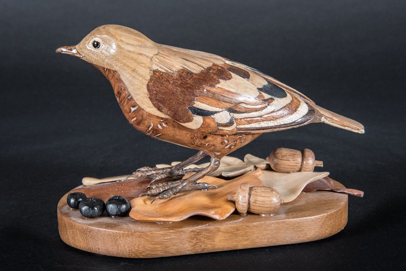 The near extinct Laminated Fieldfare Turdus Pilaris Laminatus