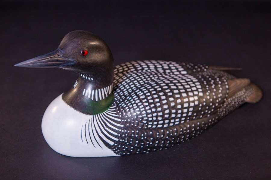 Great Northern Diver by Paul Dalby