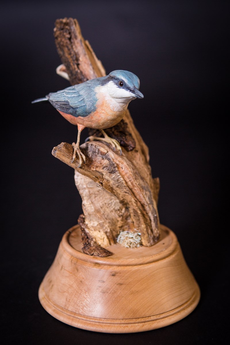 Nuthatch by Paul Tully