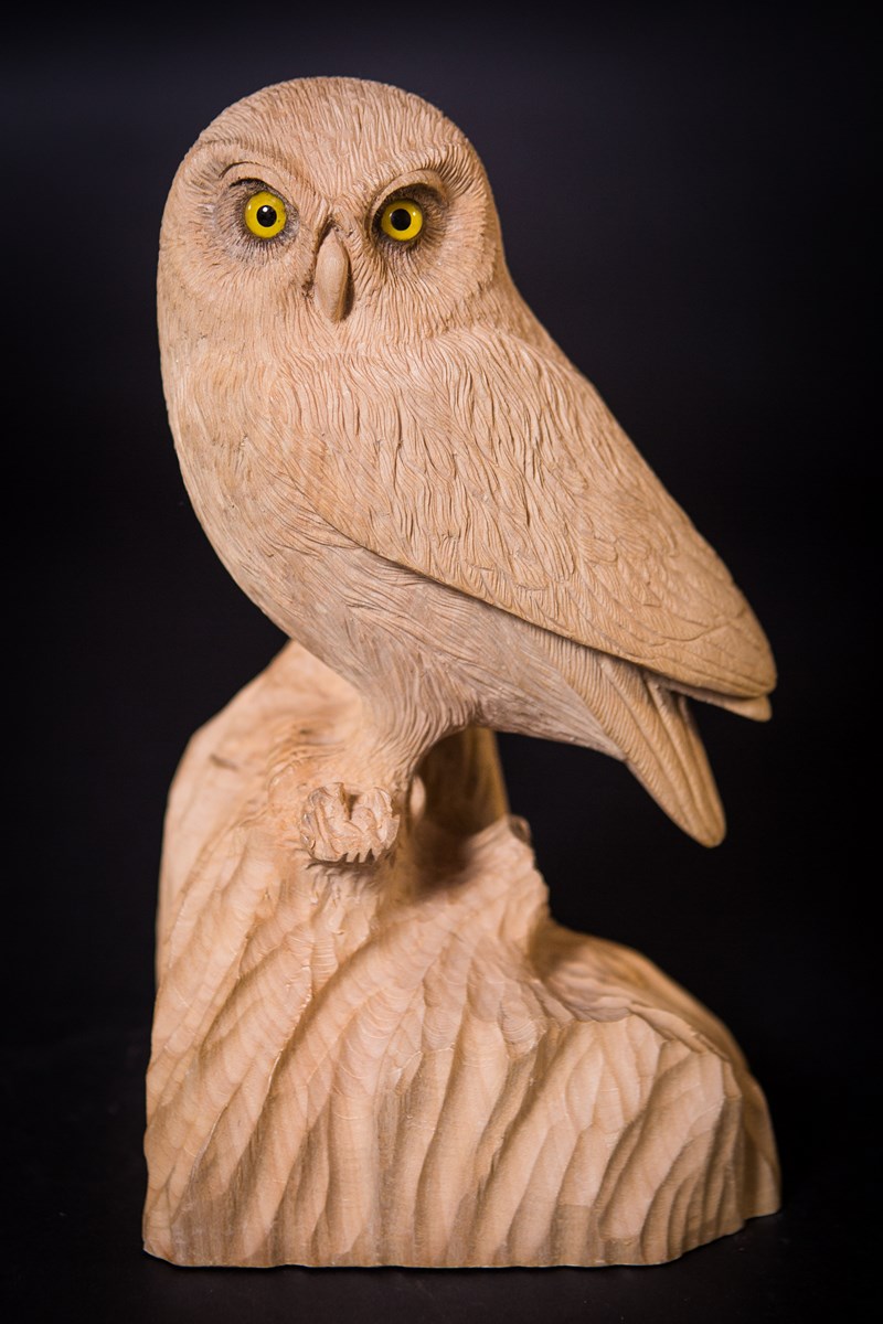 Little Owl in lime by Trevor Steed