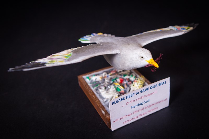 Herring Gull - Please help save our seas by John W White
