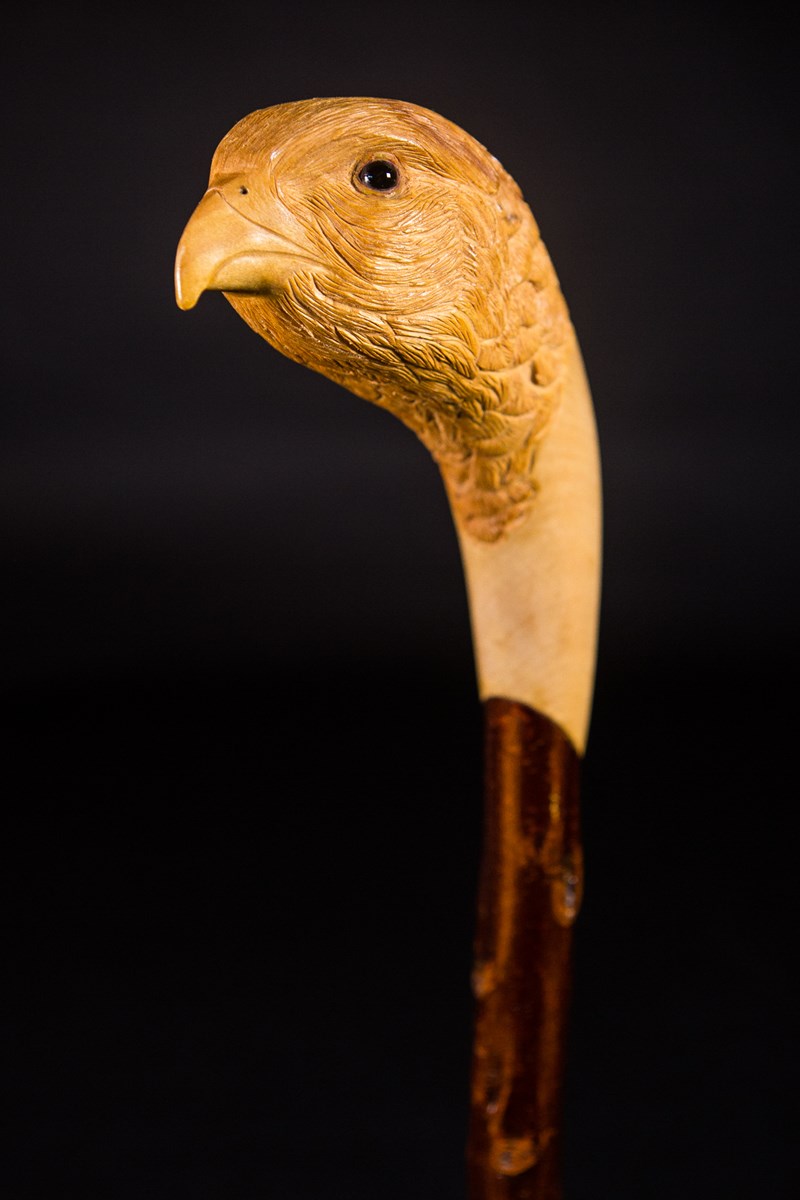 Hen Pheasant by Trevor Steed