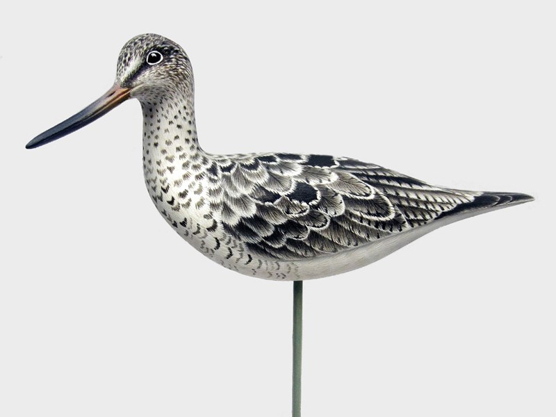 Greenshank, full size by David Askew, First Advanced Sea Birds and Shore Birds