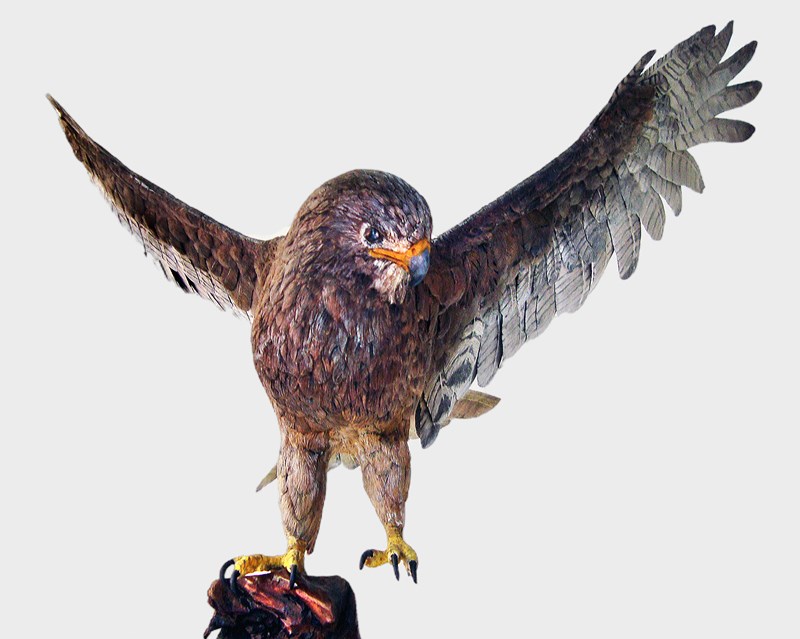 Red Tail Hawk, full size, by Ken Newbitt, Second Intermediate Bird of Prey