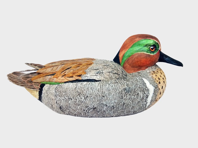 Teal Drake by Peter Langridge, Joint Third Novice Textured Waterfowl