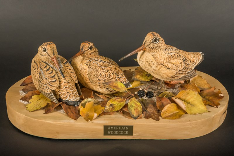 Trio of American Woodcock by Tom Fitzpatrick