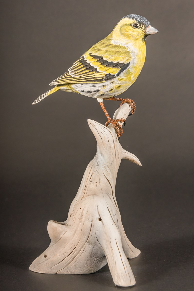 Siskin by David Askew