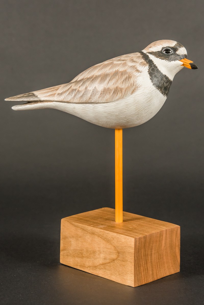 Ringed Plover by David Askew