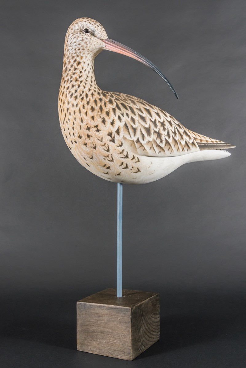 Curlew by David Askew