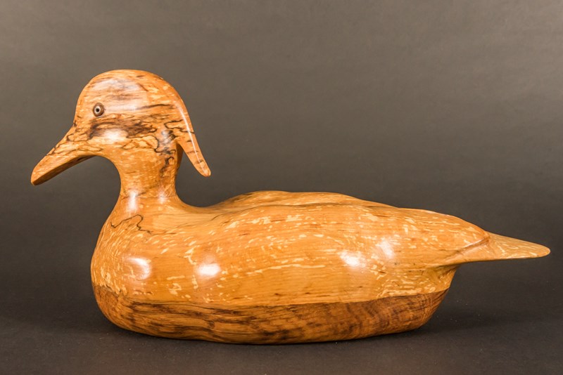 Tufted Duck in spalted alder and brown oak by Stewart Langworth