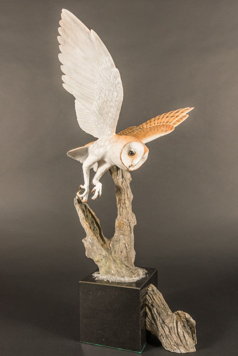 Barn Owl in flight by Tom Fitzpatrick
