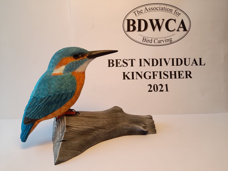 Best Individual Kingfisher by Mark Langford